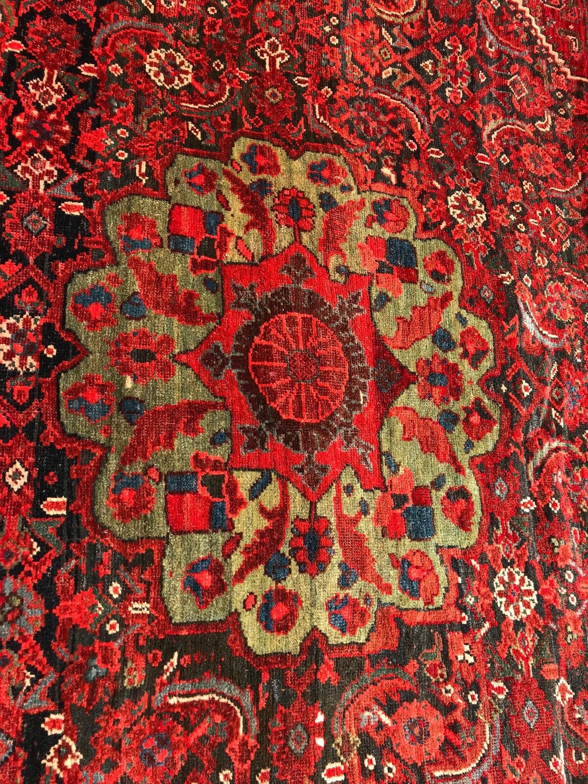 #1915 Stunning 19th C Palace Size Tribal Kamseh Rug 10' x 16'