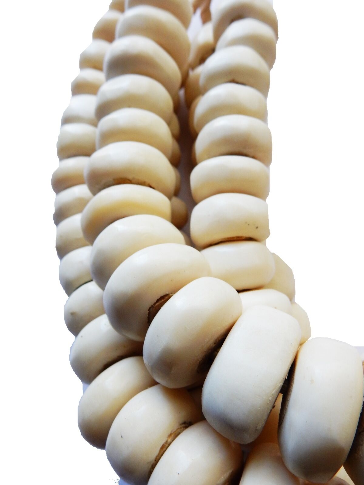 #17 Currency Bone Trade Beads - Set of 5