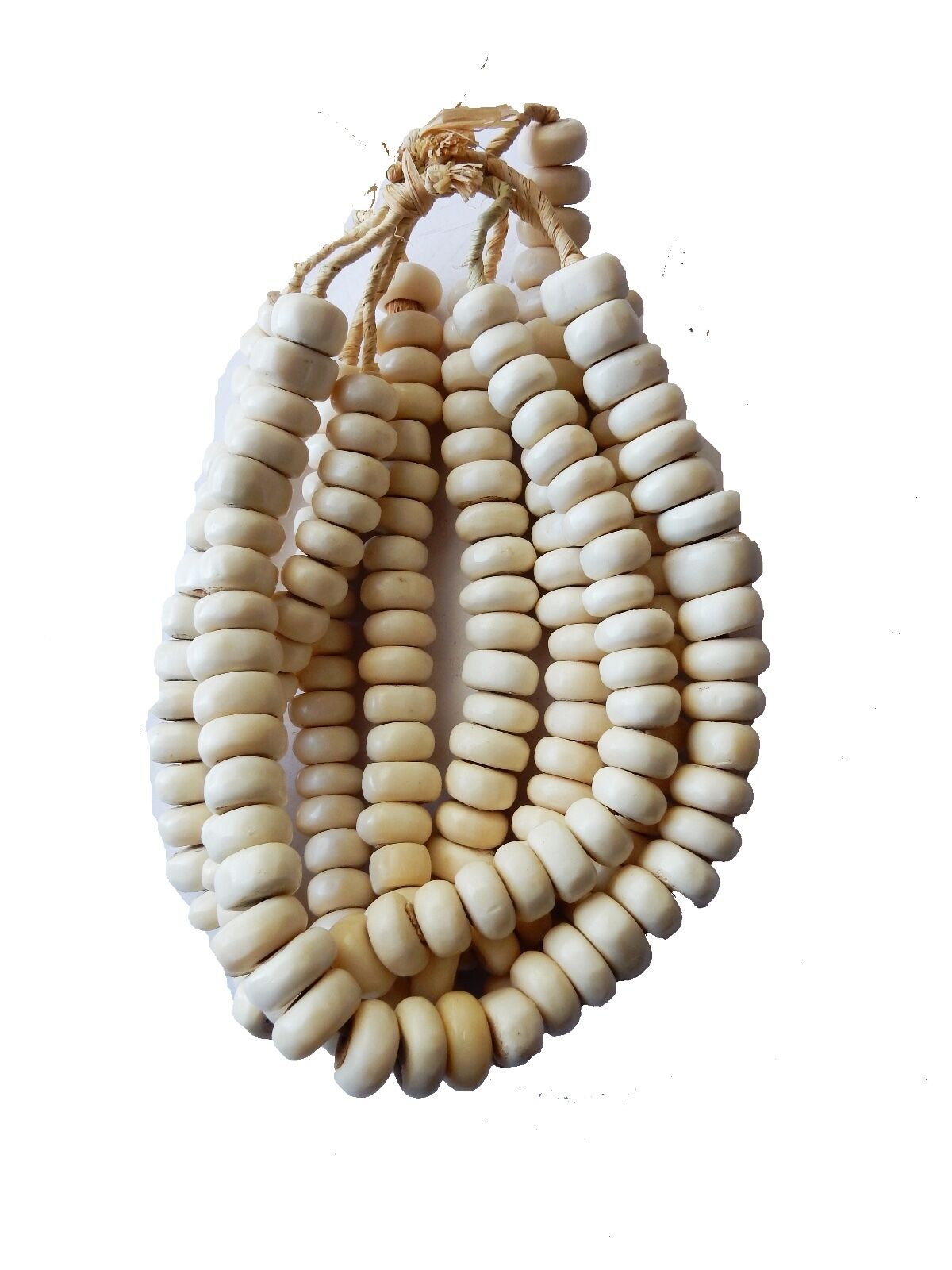 #17 Currency Bone Trade Beads - Set of 5