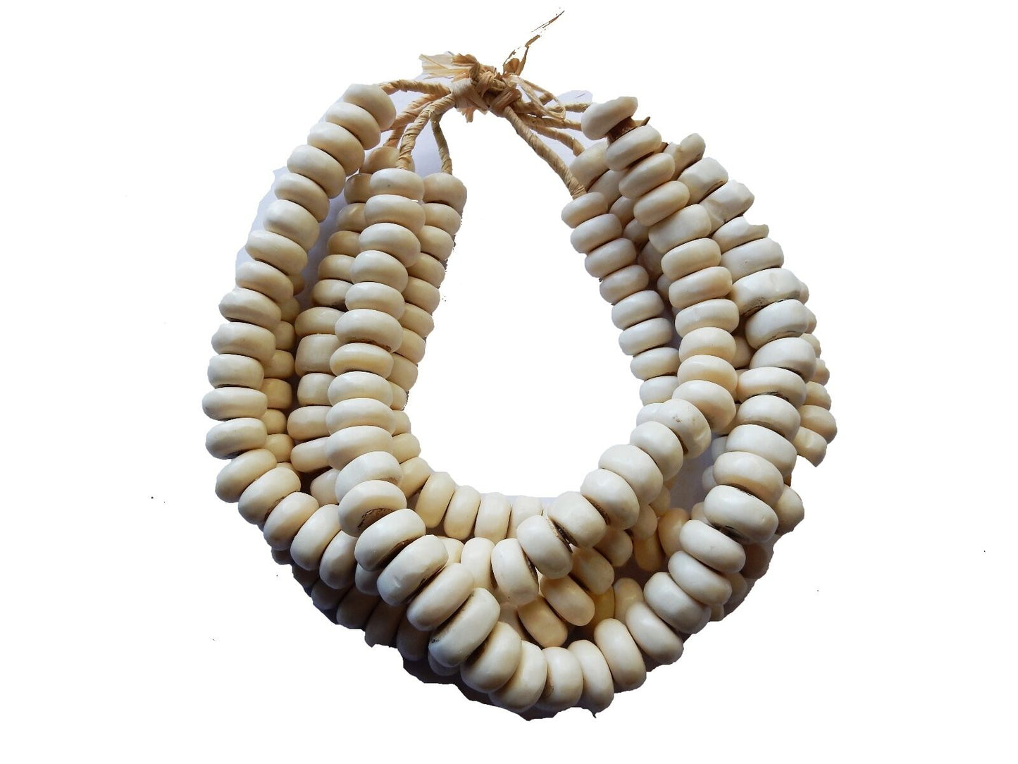 #17 Currency Bone Trade Beads - Set of 5