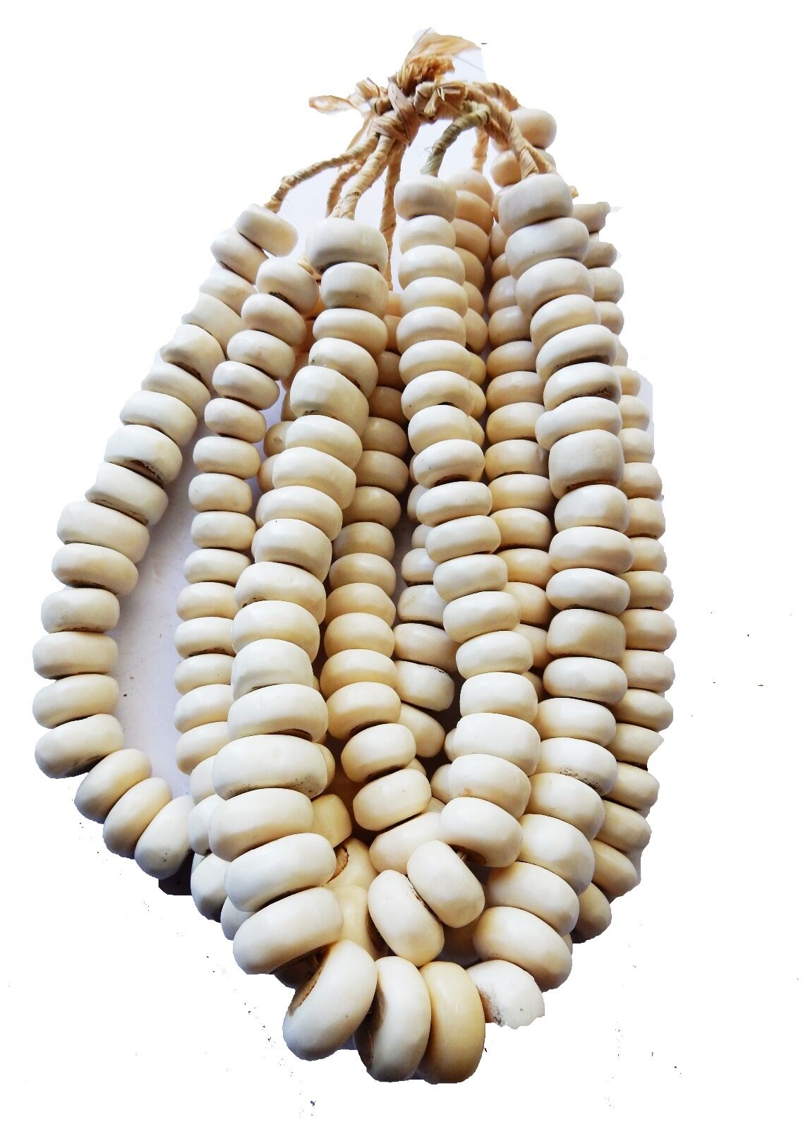 #17 Currency Bone Trade Beads - Set of 5