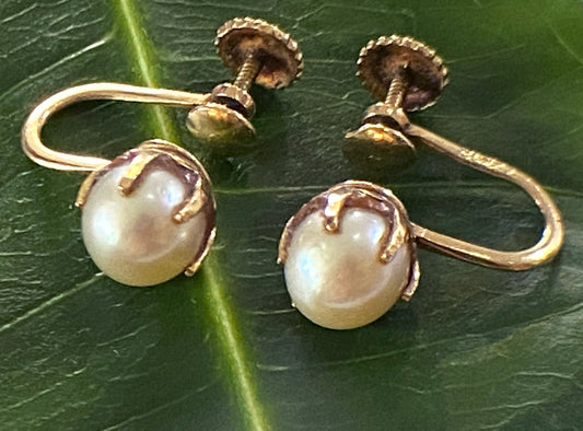 #3974 Superb Old 14K Pearls Stud Earrings