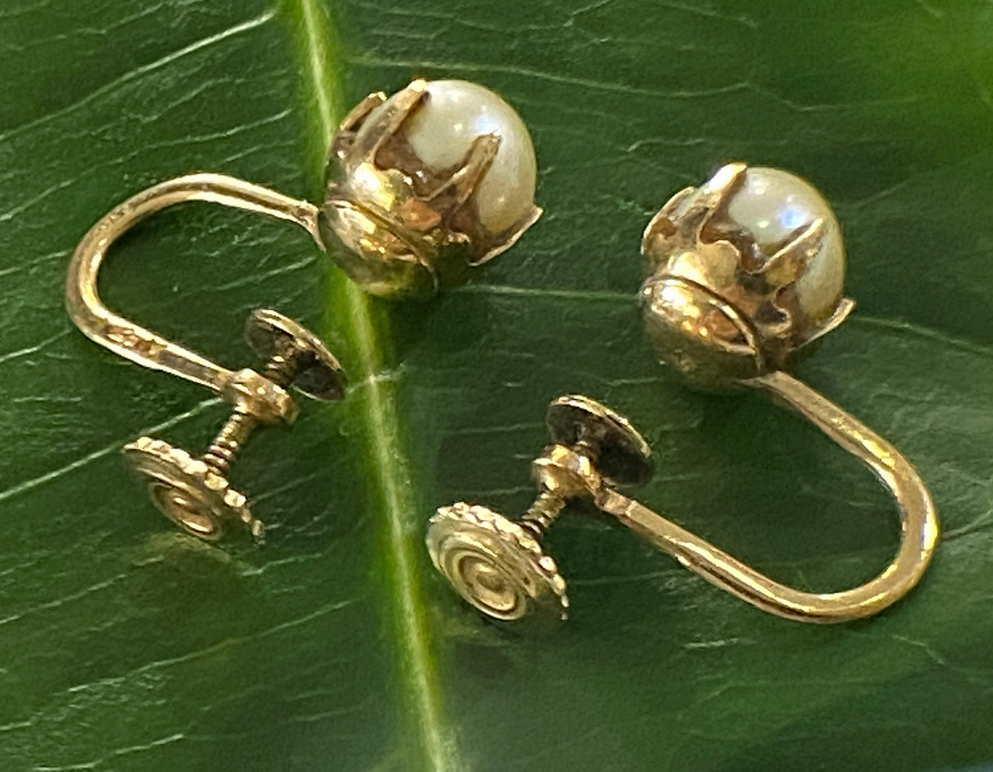 #3974 Superb Old 14K Pearls Stud Earrings
