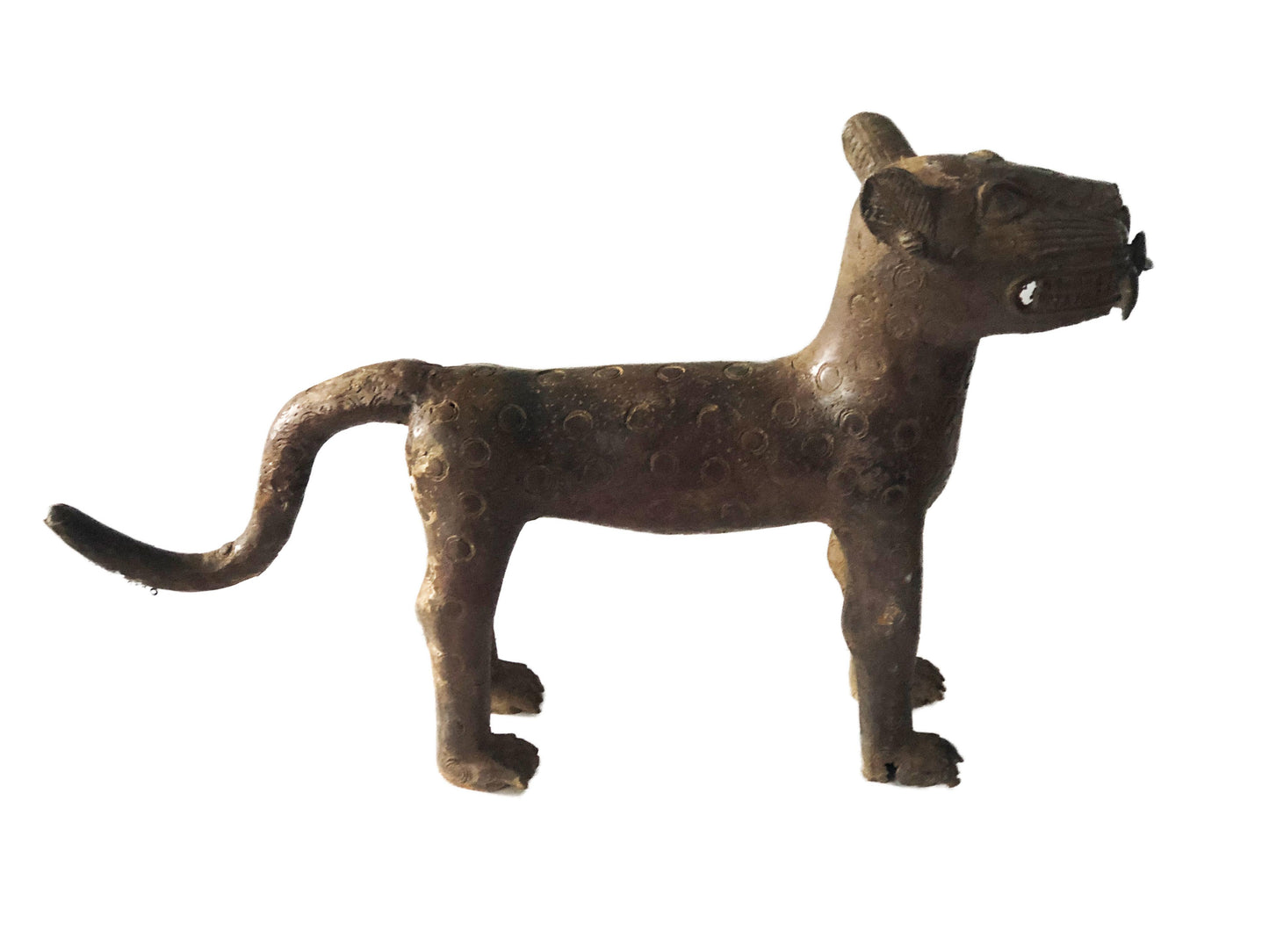 #4310 LG Benin Bronze Leopard 13.75" H by 23" D Nigeria