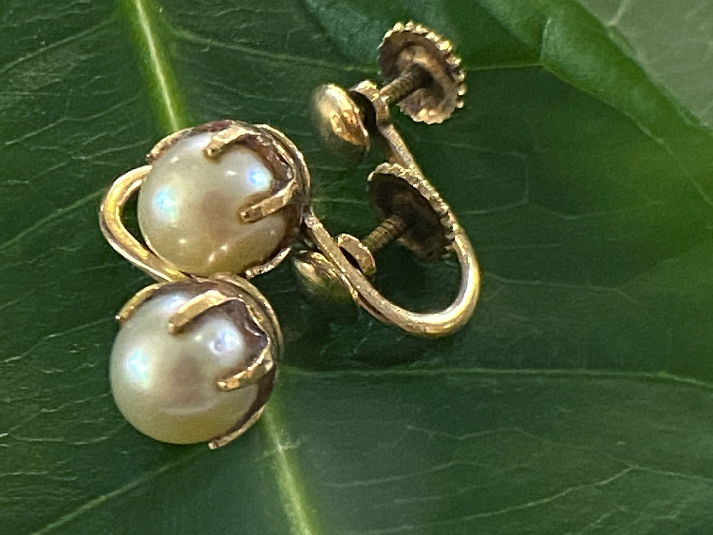 #3974 Superb Old 14K Pearls Stud Earrings