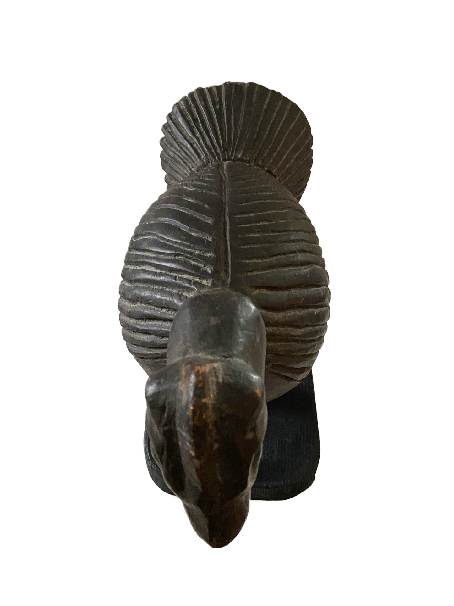 #2247 Rare African Old Ceremonial Bobo BIRD Mask Helmet Burkina Faso 16" H w/ stand