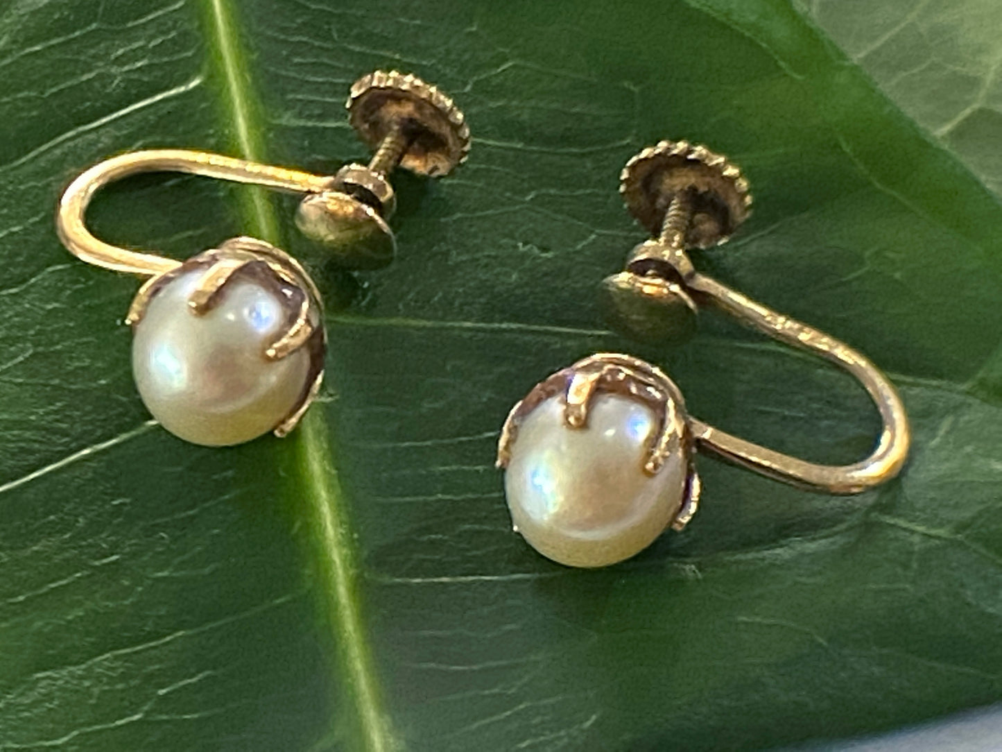 #3974 Superb Old 14K Pearls Stud Earrings
