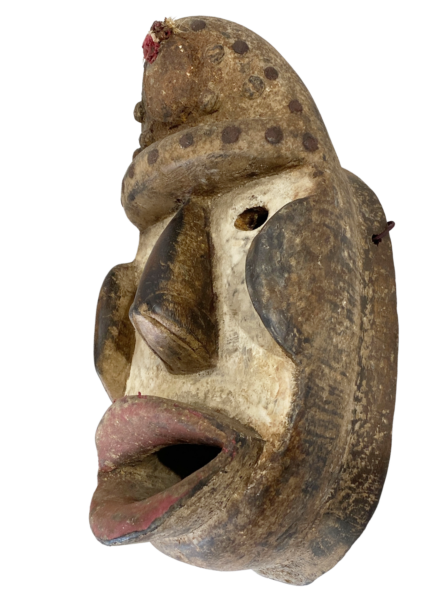 #4524 Superb  African Dan Bugle Tribe Mask  I Coast  15" h
