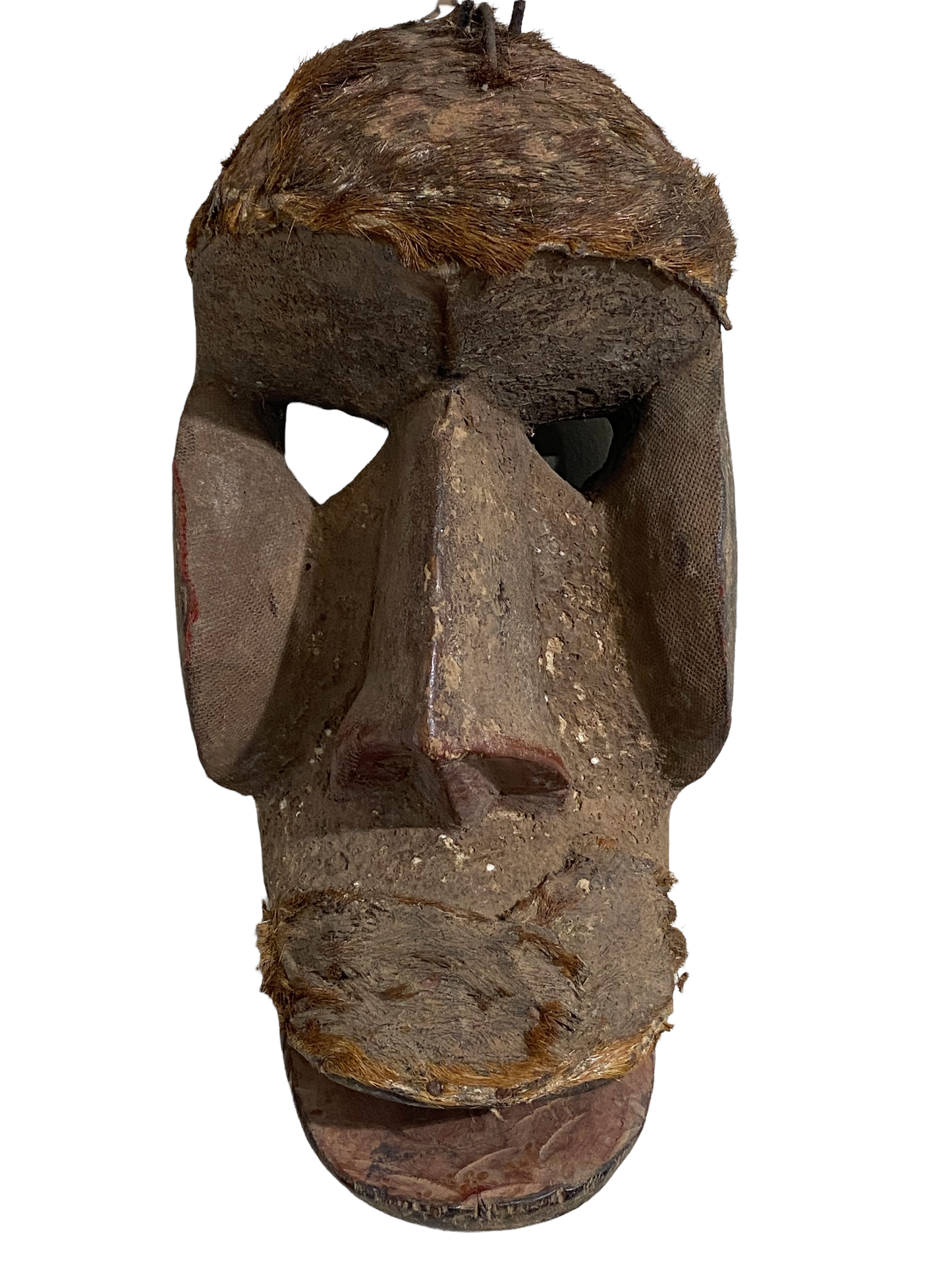 #4526 Superb  African Dan Bugle Tribe  Monkey Mask  I Coast  14.5" h
