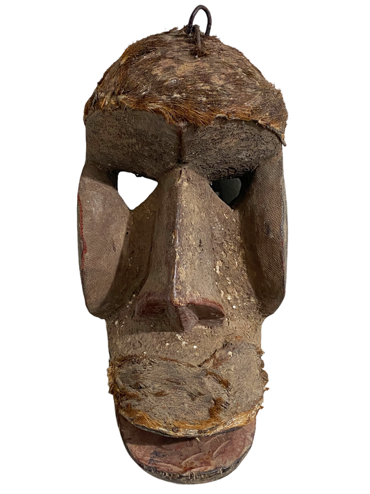 #4526 Superb  African Dan Bugle Tribe  Monkey Mask  I Coast  14.5" h