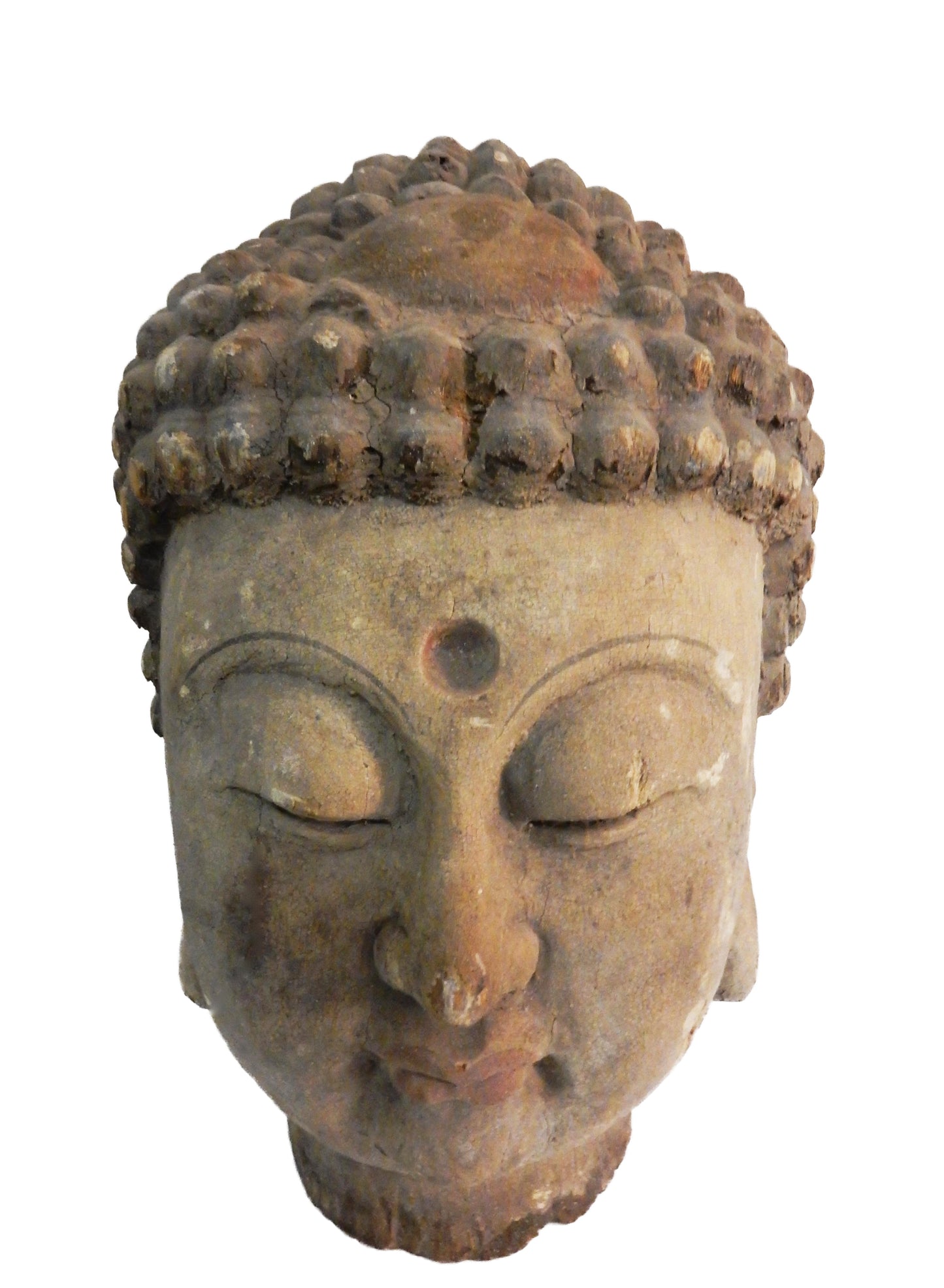 # 279 LG Asian Carved Wood  Gautama Buddha Head 20" H