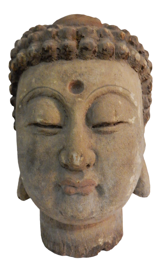 # 279 LG Asian Carved Wood  Gautama Buddha Head 20" H